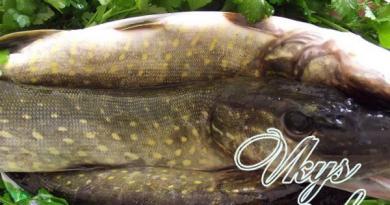 Pike cutlets recipe with photos