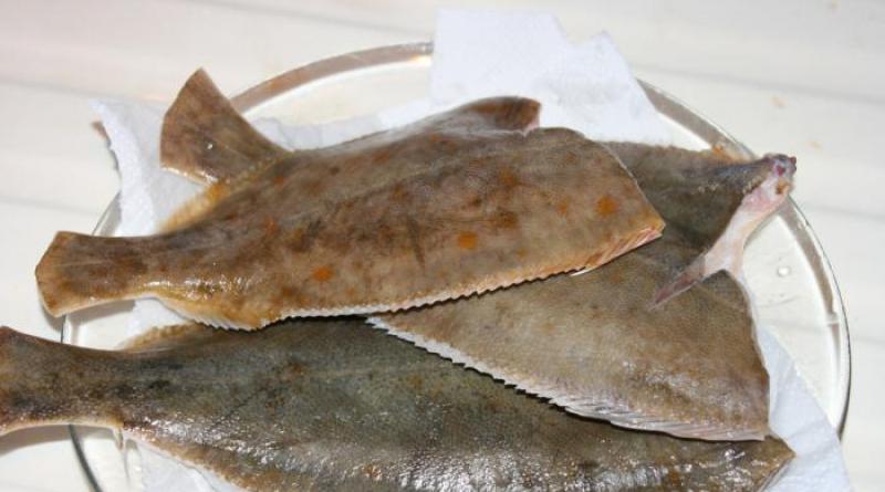 Cooking flounder - recipes